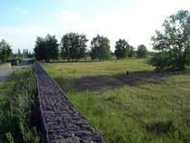 Blick auf die sommerlichen, naturbelassenen Wiesen und Wege des Parks
