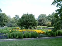 Blick in den sommerlich blühenden Treptower Park